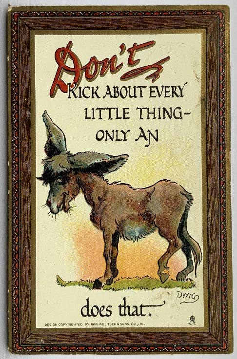 early 1900's comical donkey postcard by Dwig
